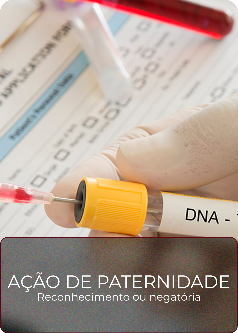 Paternidade